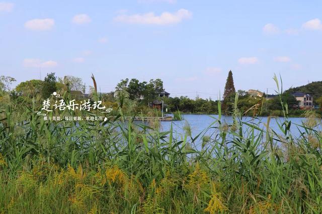 绍兴上虞白马湖畔的打卡胜地，人文气息藏于湖光山色，景美但人少