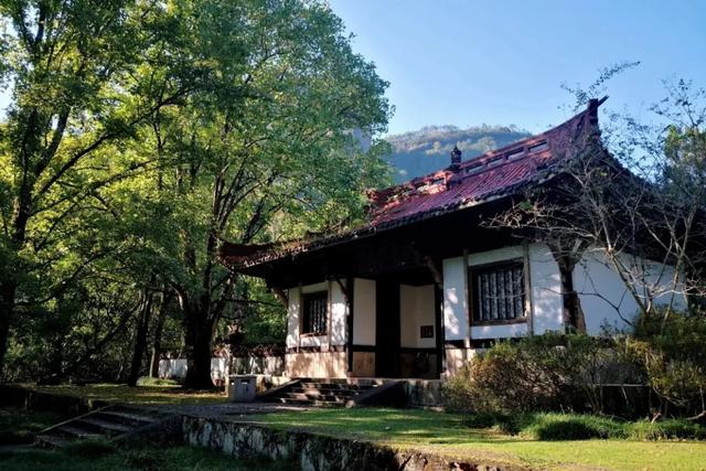 武夷山1日游攻略！免门票+避坑指南，1天玩透碧水丹山