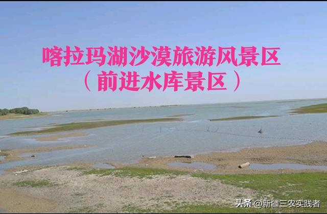 新疆兵团各团场发展史41期 三师45团 羌河下游前海镇 支边青年献青春