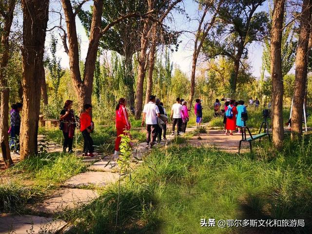 银发乐游线路：杭锦旗慢游深体验