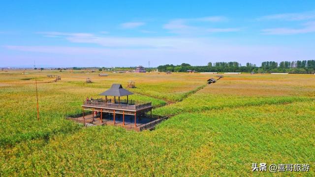 盘锦鼎翔：在苇海的呼吸间，寻一场北国的水乡旧梦