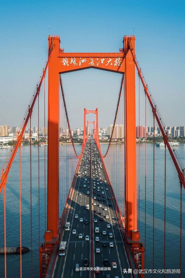 今天起免费预约，限时7天！