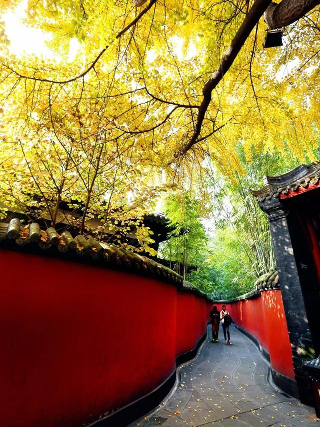 还起什么标题，美不美你们直接看！