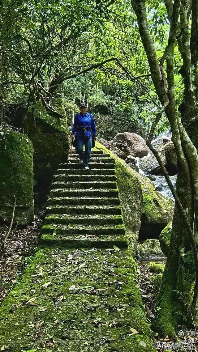真正的小众避暑胜地！这方秘藏于千米高山之上的清凉秘境等你来！
