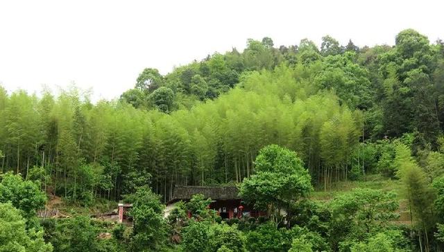 这位江阴人	，被广西点名！