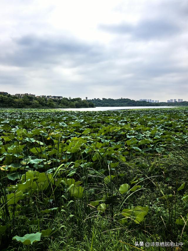 2025后官湖绿道骑行:大环湖失败，多处截断，对岸更无路！