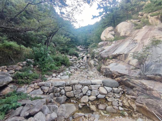 泰山东御道，从景区入口到检票口沿路风景