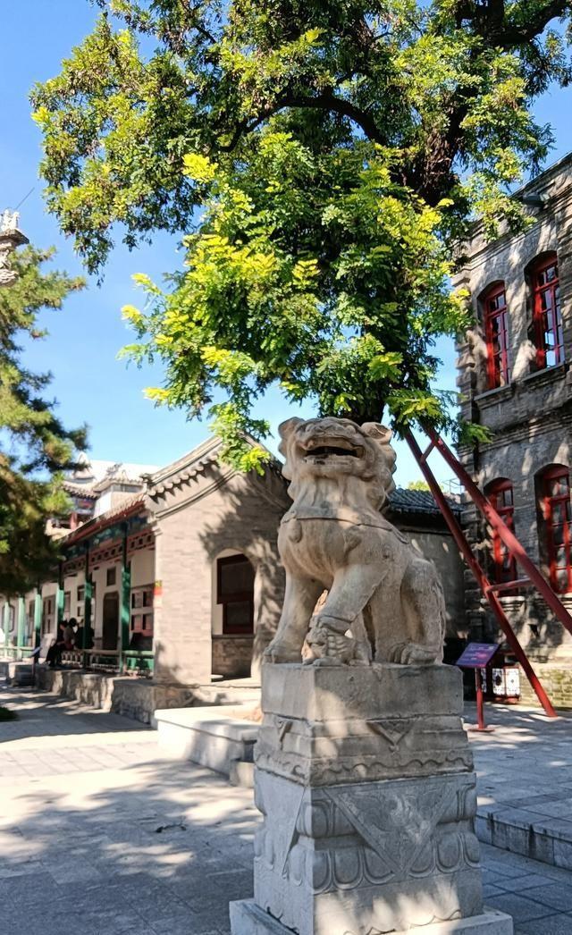 北京没想到，天津也没想到	，如今河北保定，成了周边遛弯的好去处