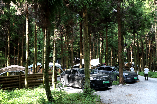 品咖啡、喝精酿、闻松香......在修文县山寻露营基地过一场20℃的慢生活