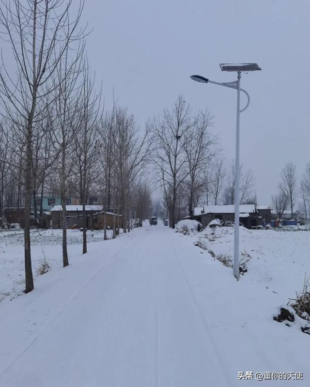 零下15度！河南四九天迎来寒冷暴击，真的要“猫冬”了？