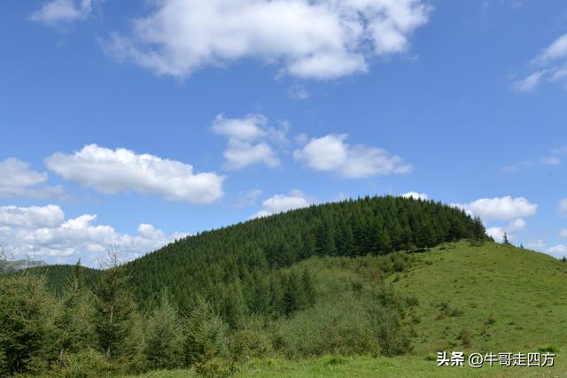 河北麻田岭（上）：绿野铺毡接云影、风轮伴路探山魂