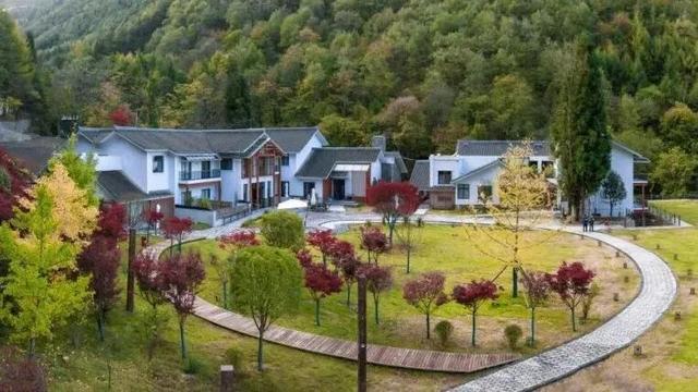 盐井峡红叶指数全省第二！这份专属赏秋攻略请查收