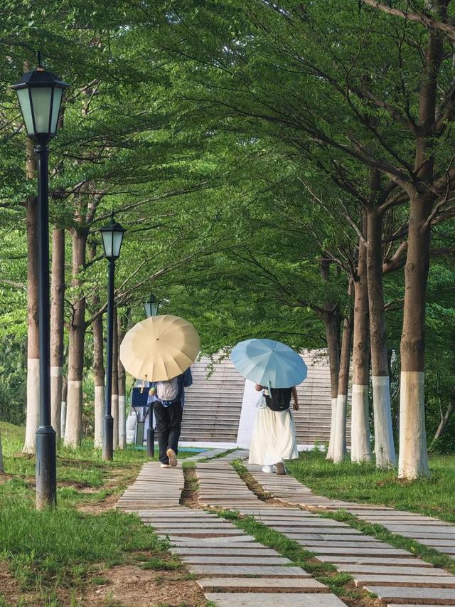@XMUer，厦园这些路你都走过吗？
