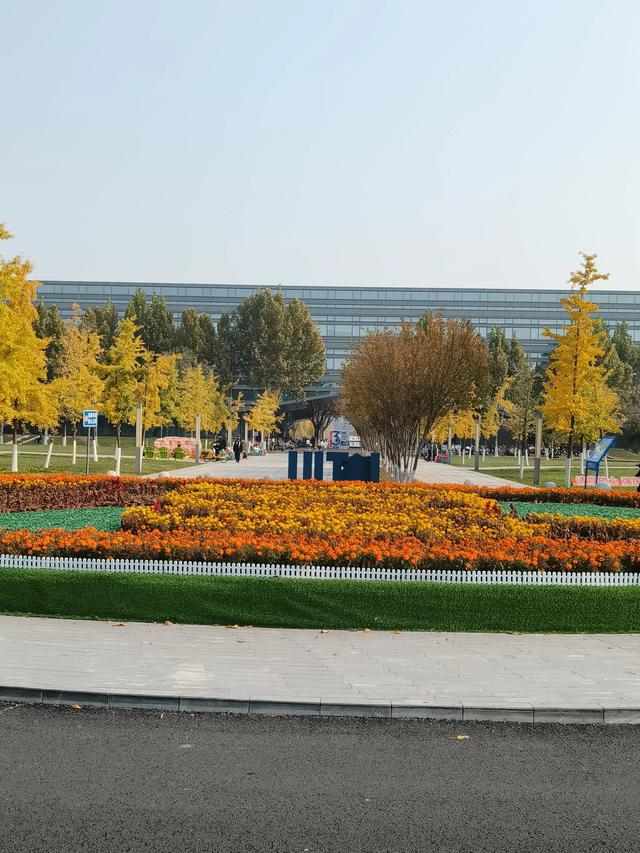 天津《天津大学北洋园校区》