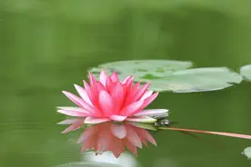 中西合璧看早泄：时间不到一分钟，直接望门而泄？中药调理和食疗图片