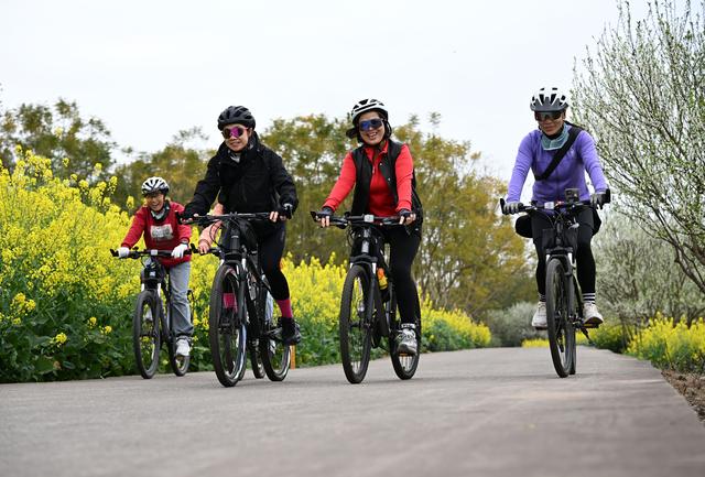 四川内江：初春田园赴花约