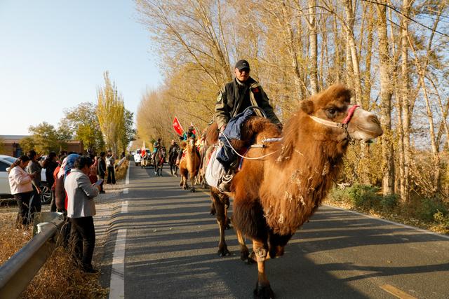 【组图】驼铃响古浪，这支丝路队伍从东天山走来！