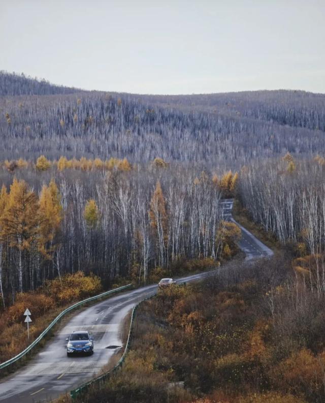 实力认证！额尔古纳荣登高德地图“驾行中国最美旅游县域”榜单