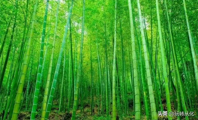 从化户外图鉴 | 精品线路承包你的山野快乐！