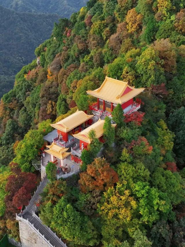 The Qinling Mountains in painted splendor｜秦岭彩叶大赏，美到“巅峰”