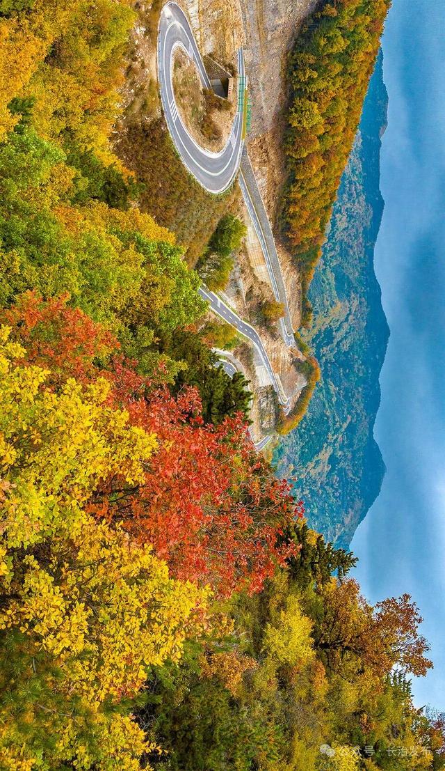 寻色三晋·山河入画｜太行一号旅游公路：在红叶云海间，驶入秋日的山水长卷