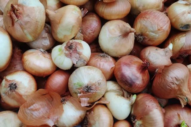 塞尔维亚，一座被轰炸过78天的城市的新生，贝尔格莱德一日游记