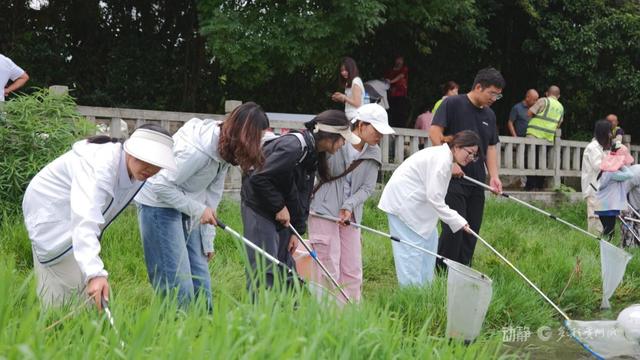 贵州农业生物安全实验室成立 联动开展福寿螺灭除实践