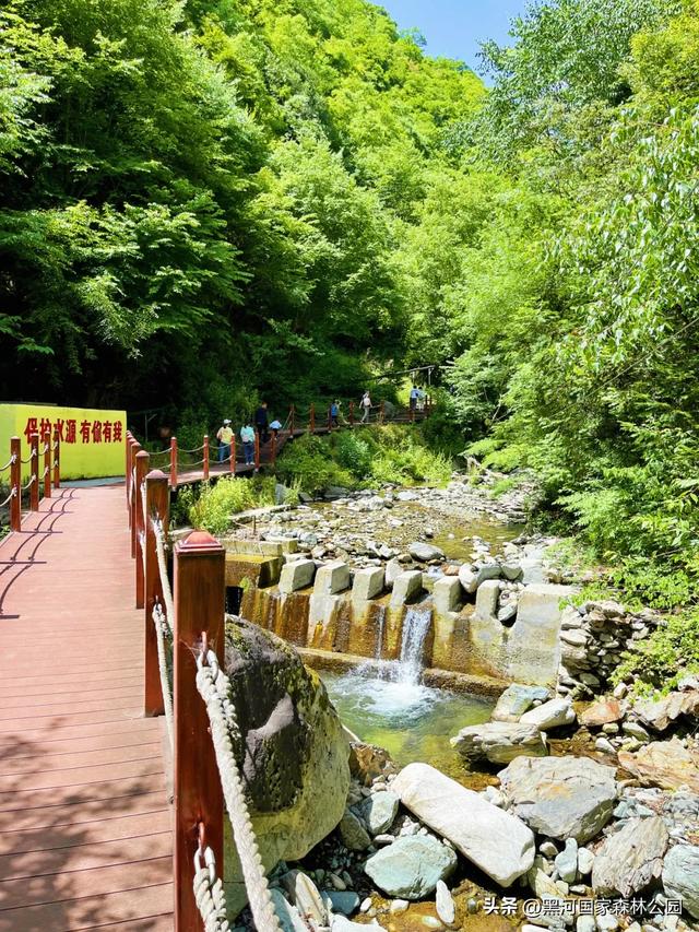 西安人的夏日消暑指南,黑河的清凉山水比空调更治愈→