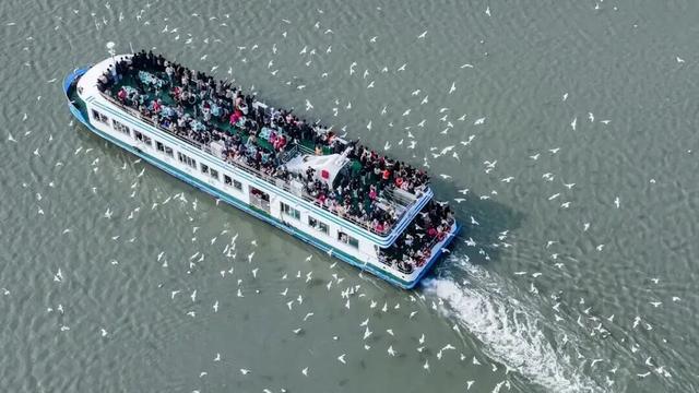 魅力滨湖的故事，就是“两山理论”的太湖实践