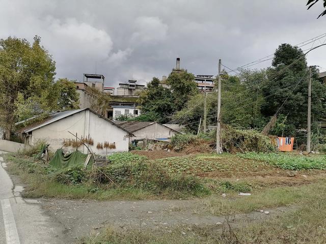 双流／华阳／仁寿苏码头历史资料