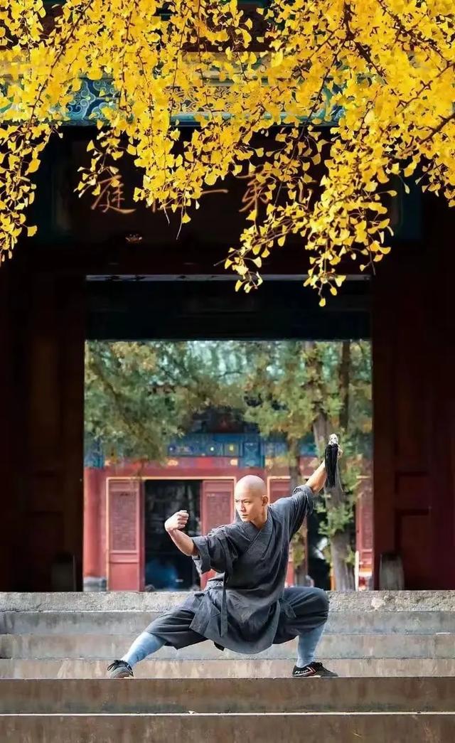少林寺变天！30僧人集体出走，新方丈农禅新政震动千年古刹