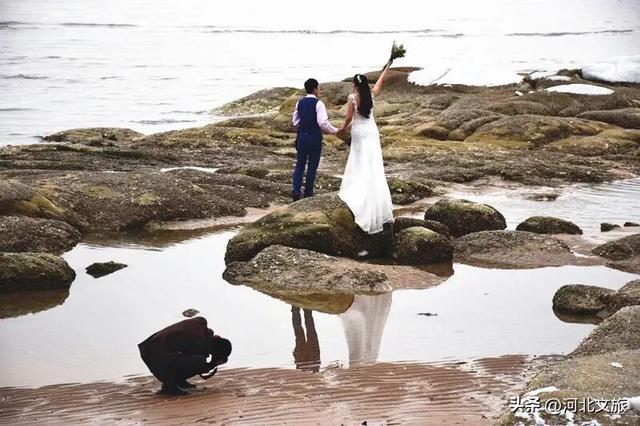 向海而歌,来秦皇岛凭依栈道、看海听涛,与海浪鸥鸟美好时光!