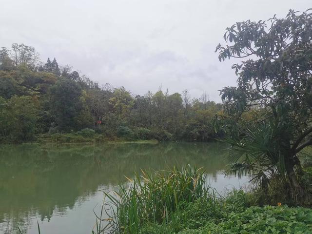 遵义新蒲：沙滩旧景有“花山”