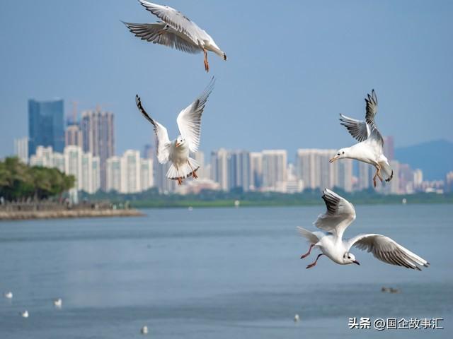 辽东半岛游记第六天，大连森林动物园