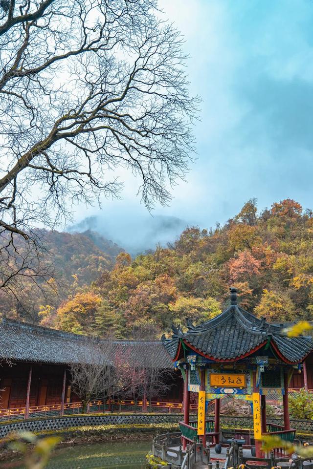 谁说秋天只有凋零?紫柏山两日游攻略来了!