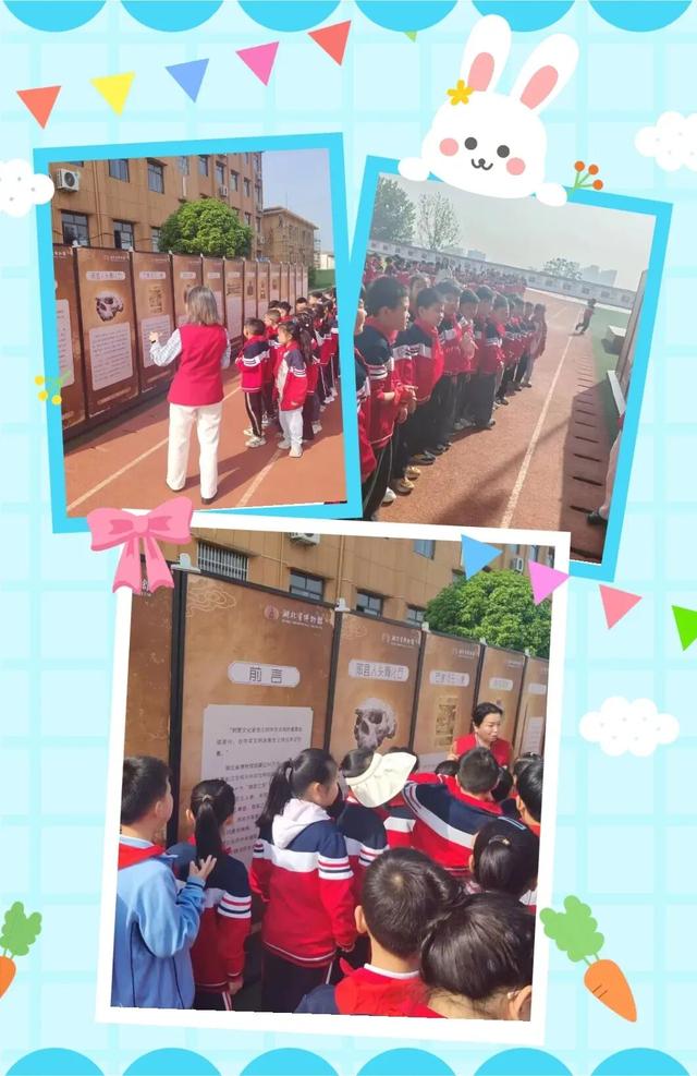 湖北省流动博物馆走进擂鼓墩初级中学开展历史文化教育