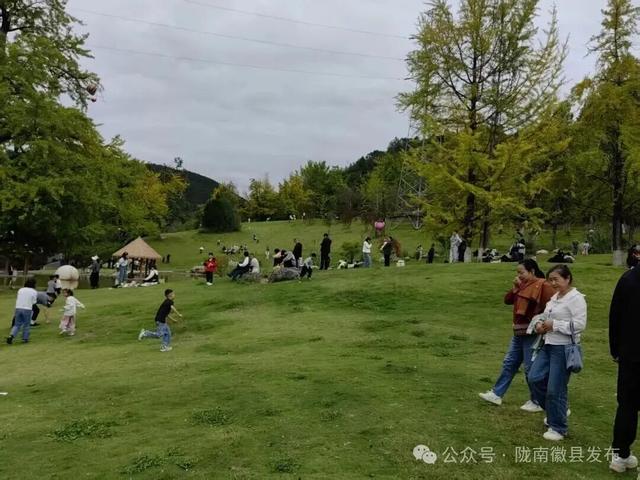 人气十足！假期前两日，陇南好热闹！🥳