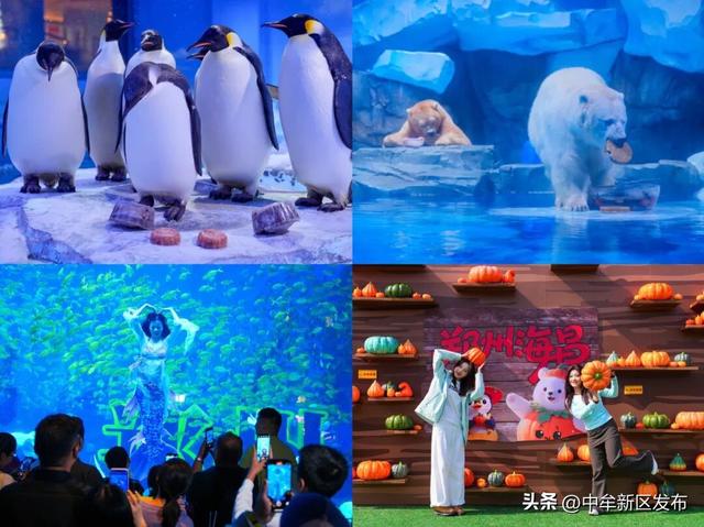 当你开始回味“幻乐之城”中牟之旅......
