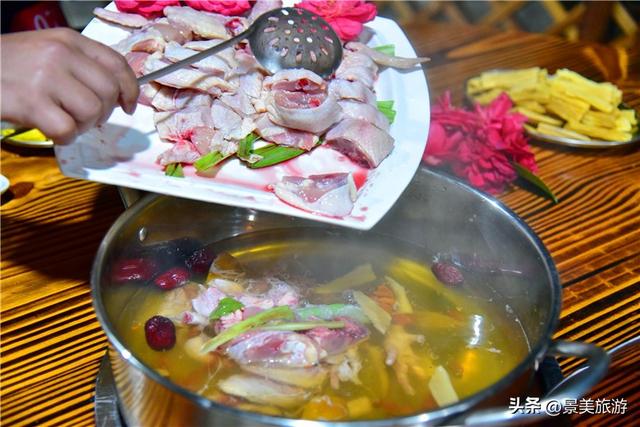 元旦三水南山：一日跨四季，赏花，观烟花，在花香与璀璨中迎新岁