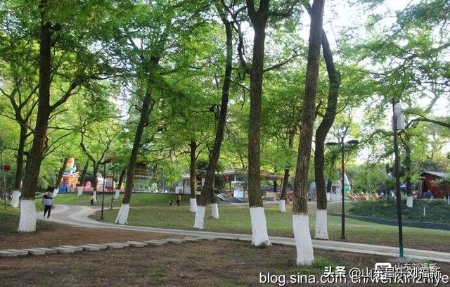 景德镇人民公园观后（江西之旅第三十篇）