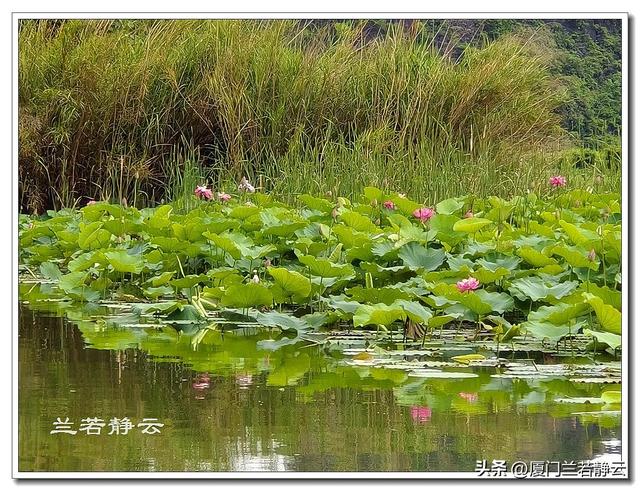 云南普者黑：自由行两日游