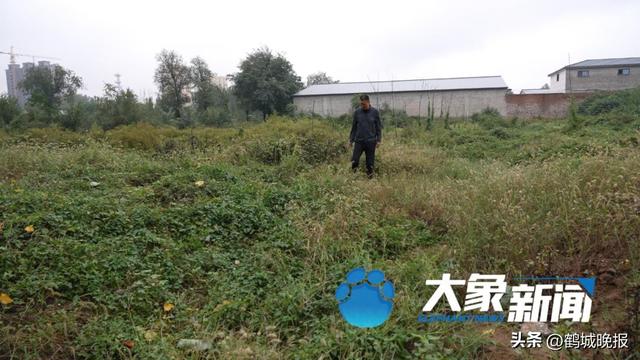 邯郸女子失踪 35 年，枯井尸骸特征全对，警方却说是男尸，信访还被伪造签名