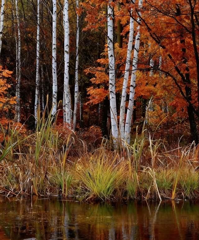 氛围感拉满！集安的秋天，藏着最治愈的人间烟火