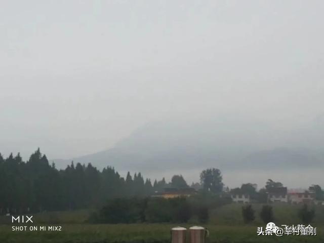 在秦岭山下支教，一只黑花蝴蝶嚣张地闯进我的卧室