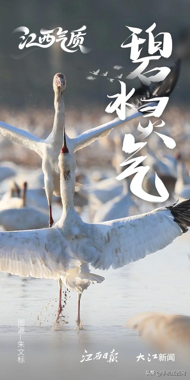 11月开篇，江西气质藏无可藏！