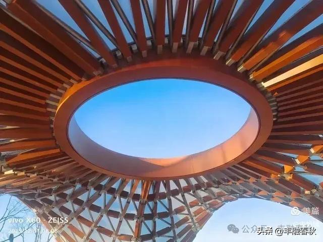 初冬北京朝阳坝河金盏淀:清寒里的静美画卷|申艳娟