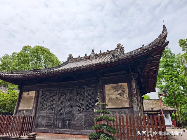 成都徒步（64）·新津篇③观音寺