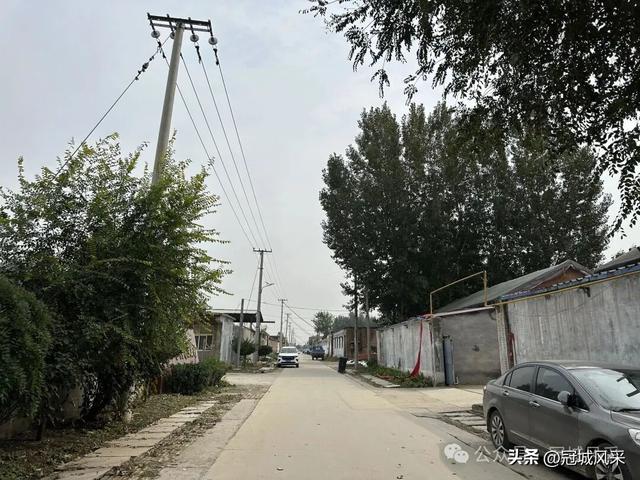 冠县乡韵·桑阿镇野场村