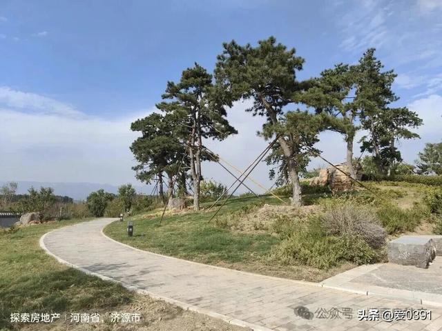 济源又一个生态公园春节期间盛装迎客