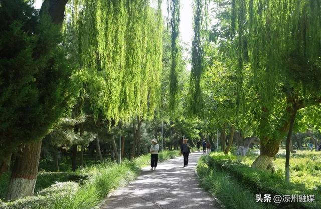 一园秋景绘凉州 诗意斑斓韵自悠